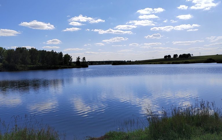 Платная рыбалка в Мамаевке Платная рыбалка в Мамаевке