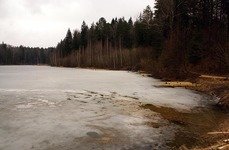 Золотой крючок. Фото 1465.