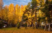 Красный Бережок. Фото 14650.