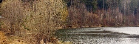 Золотой крючок. Фото 1466.