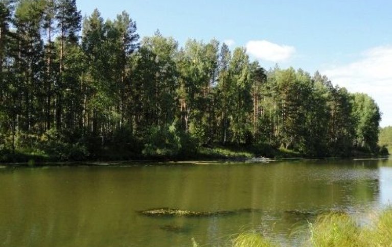 Карпятник в Азово Карпятник в Азово