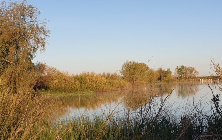 Мартыниха