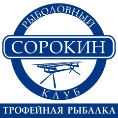 Сорокин. Логотип.