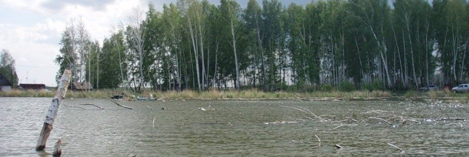 Тишки. Фото 14697.