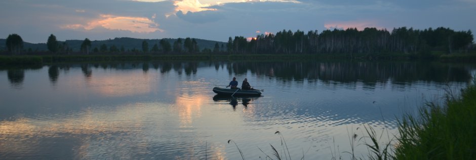 Тархун. Фото 14704.