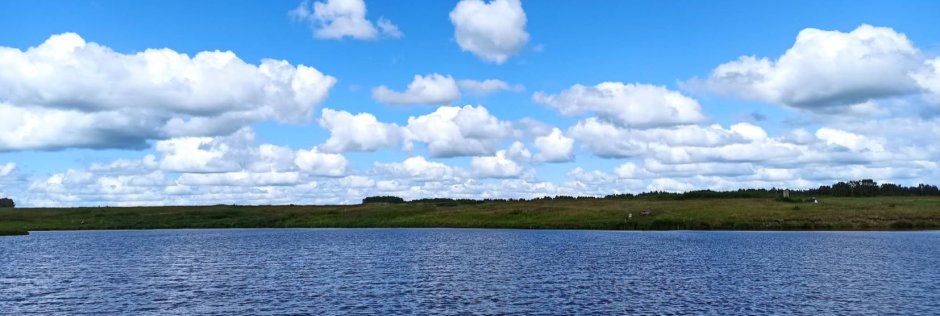 Пруд в п. Степной. Фото 14708.