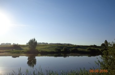 Лотос. Фото 1479.