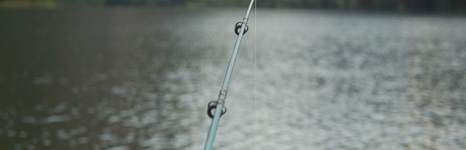 Алтын туу. Фото 1490.