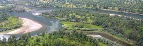 Алтын туу. Фото 1491.