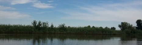 На калиновке. Фото 1493.