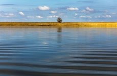 На калиновке. Фото 1500.