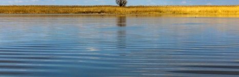 На калиновке. Фото 1500.