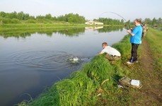 Егорьевский рыбокомбинат ЦНА. Фото 1512.