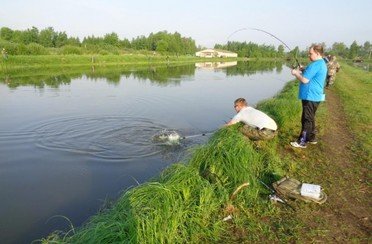 Егорьевский рыбокомбинат ЦНА. Фото 1512.