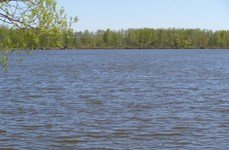 Егорьевский рыбокомбинат ЦНА. Фото 1516.