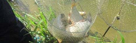 Раменский (Гжелка). Фото 1522.