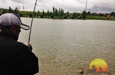 Золотой сазан. Бузланово. Фото 1562.