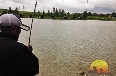 Золотой сазан. Бузланово. Фото 1562.