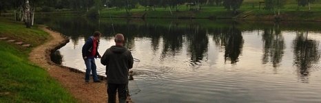 Золотой сазан. Бузланово. Фото 1564.