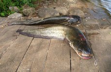 Причал. Фото 1587.