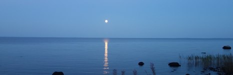 Карельский берег. Фото 1591.