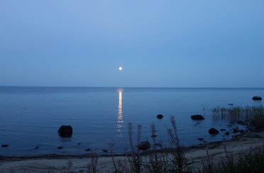 Карельский берег. Фото 1591.