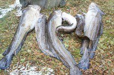 Карельский берег. Фото 1595.