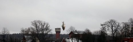 Три Пескаря. Фото 1652.