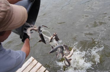 Три Пескаря. Фото 1665.