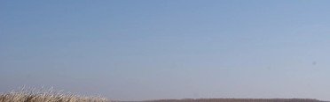 26 регион. Фото 1686.