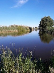 26 регион. Фото 1691.