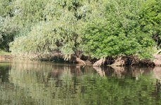 Рыбалка и охота Астрахань. Фото 1728.