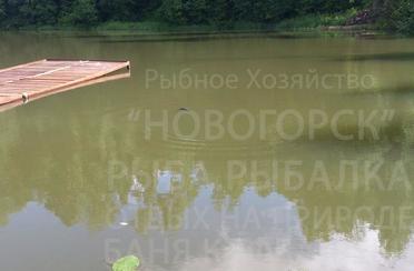 Новогорск. Фото 1769.