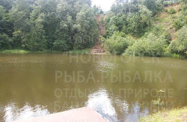 Новогорск. Фото 1770.