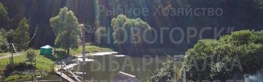 Новогорск. Фото 1780.