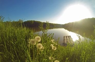 Клевое место. Фото 1805.