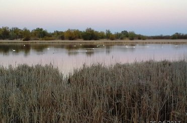 Мария. Фото 1892.