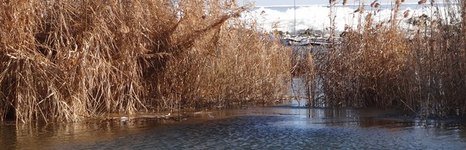 Застава. Фото 1899.