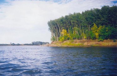 Сазаний Угол. Фото 1981.