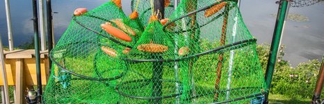 Улово. Фото 1991.