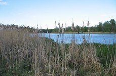 вКулишки. Фото 2004.