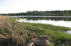 вКулишки. Фото 2011.