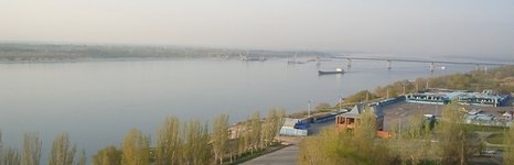 Осетр. Фото 2013.