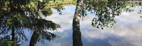 Савельево-2 Пирогово. Фото 2022.