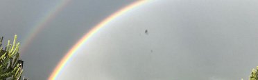 Савельево-2 Пирогово. Фото 2027.