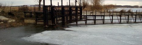 Биоресурс. Фото 2047.