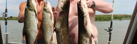 Fish Club. Фото 207.