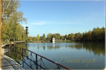 Дикий карп. Фото 2088.