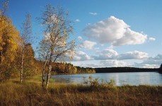 ИП Четвертев В.В.. Фото 2091.
