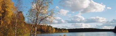 ИП Четвертев В.В.. Фото 2091.